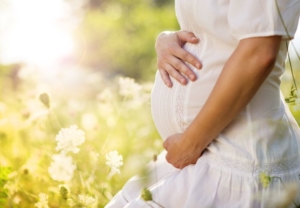 الحمل ، المرأة الشابة ، بطن الحامل ، الطبيعة ، الأيدي ممسكة بالبطن