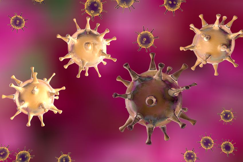 Herpes - alles zur Erkrankung und was dir helfen kann
